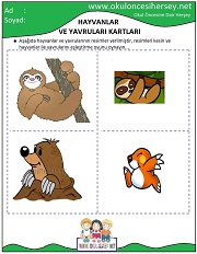 Hayvanlar ve Yavruları Eğitici Kartları